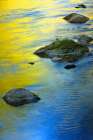 Colors Reflected in Water Art Print